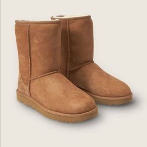 Brown ugg boots size 8